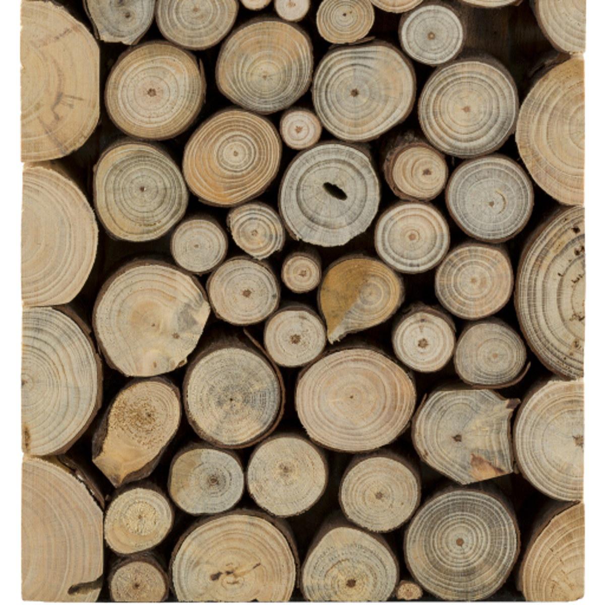 Surya Oaklynn Table Lamp