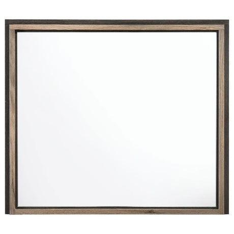 Baker - Rectangular Dresser Mirror - Brown And Light Taupe