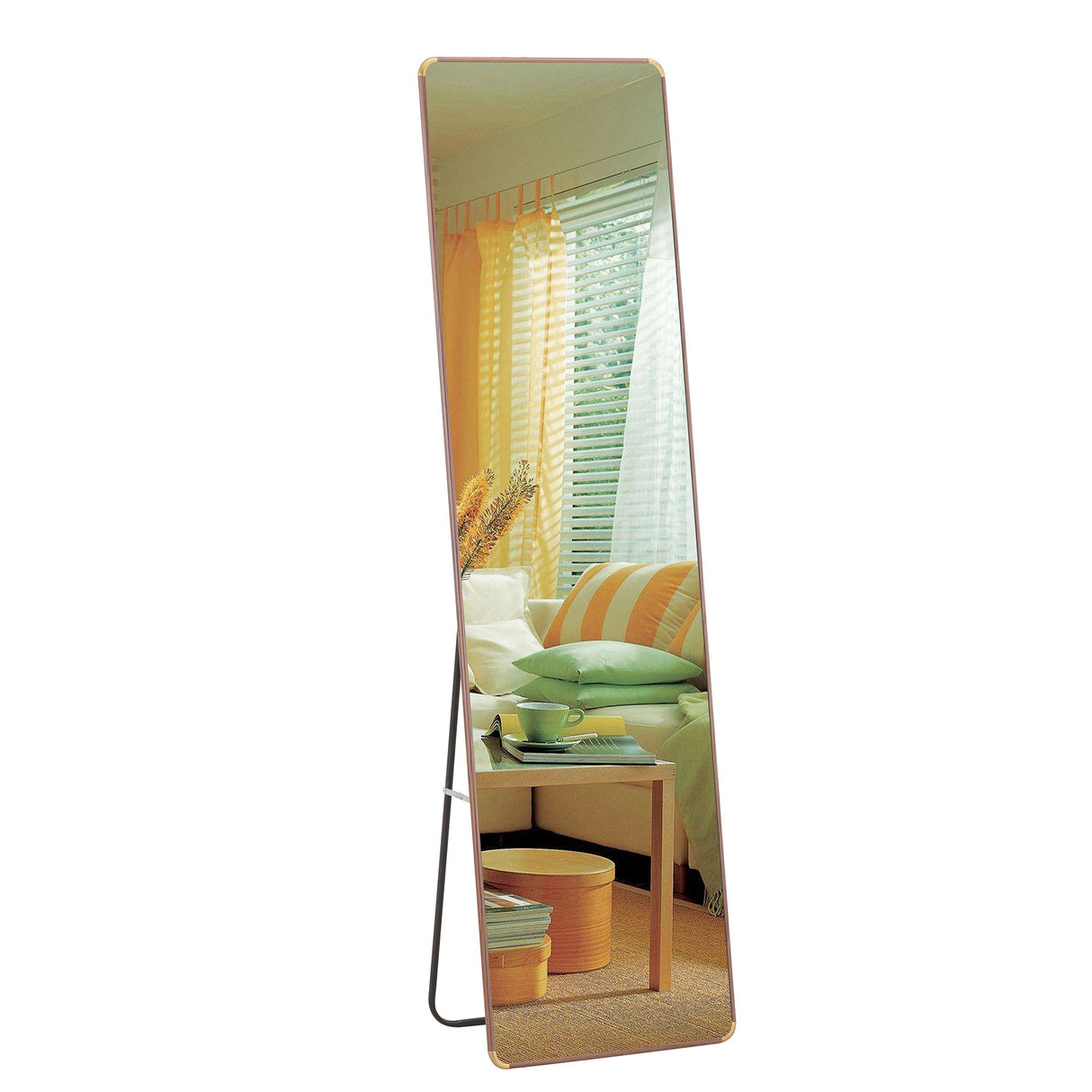 Elegant Flower Pear Color Full Length Mirror With Frame - Transparent