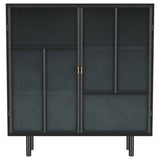 Dalia - 2-Door Accent Storage Cabinet With Shelving - Black