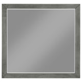 Nathan - Rectangular Dresser Mirror - Gray