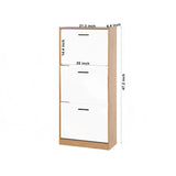 Modern Freestanding Shoe Storage Cabinet With 3 Flip Drawers
