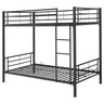 Hayward - Bunk Bed