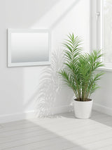 Bostwick Shoals - White - Bedroom Mirror