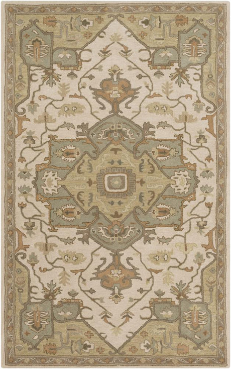Surya Caesar 12' X 15' Area Rug image